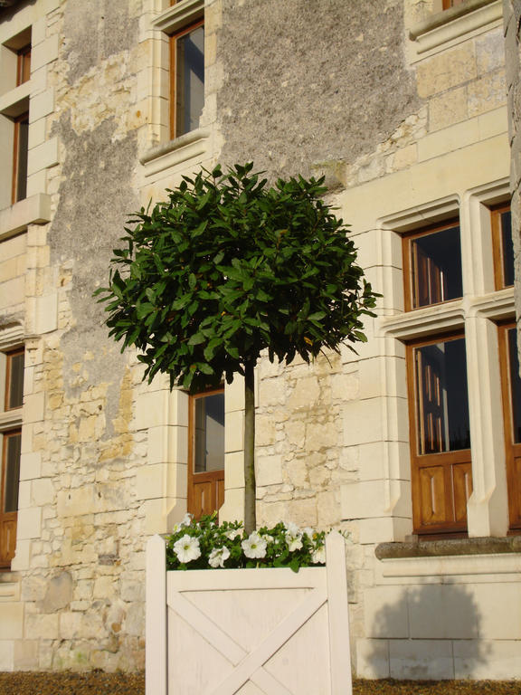 Manoir Du Bois Noblet Bed and Breakfast Louerre Εξωτερικό φωτογραφία